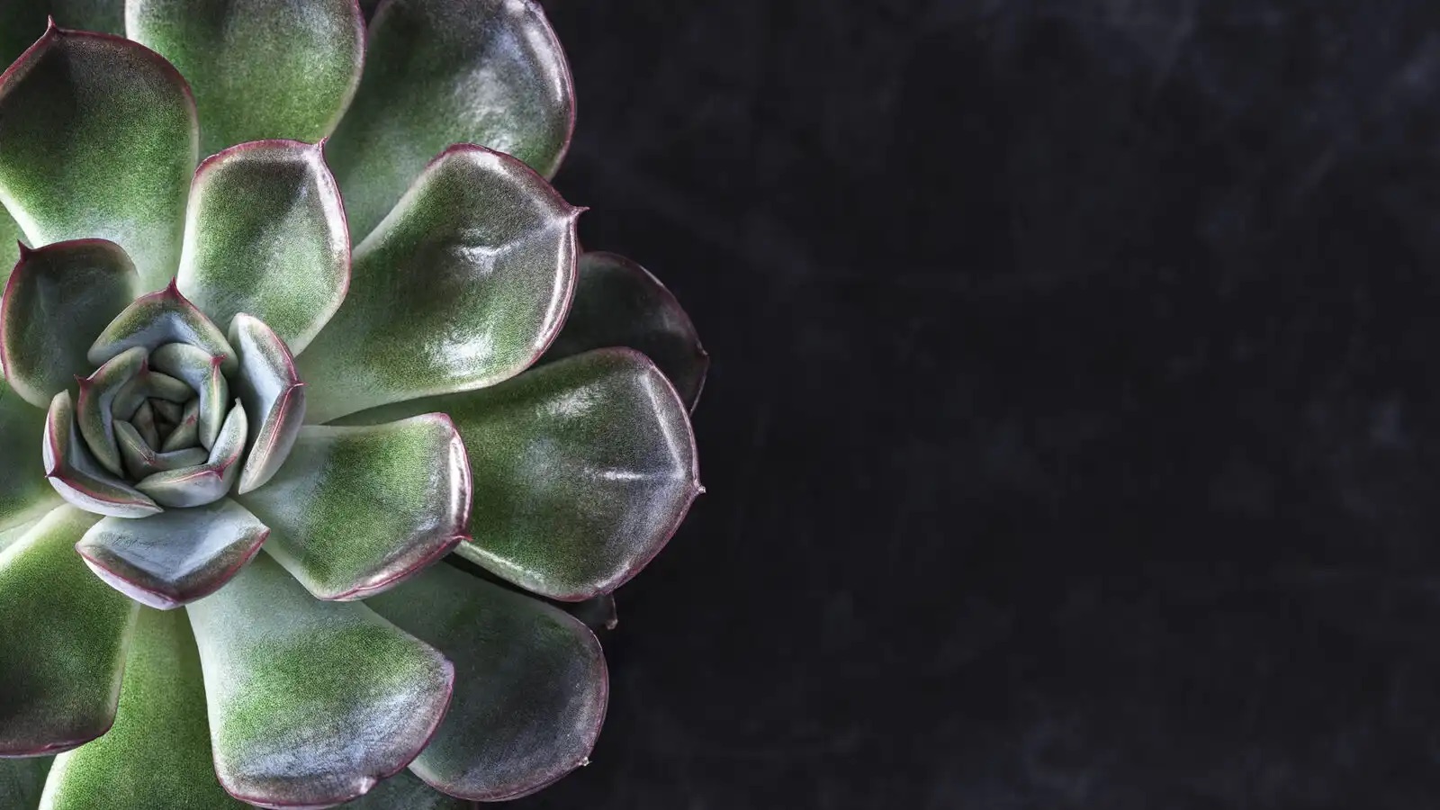 Healthy Eye Care | All-on-4&reg;, Extractions and Botox&reg;